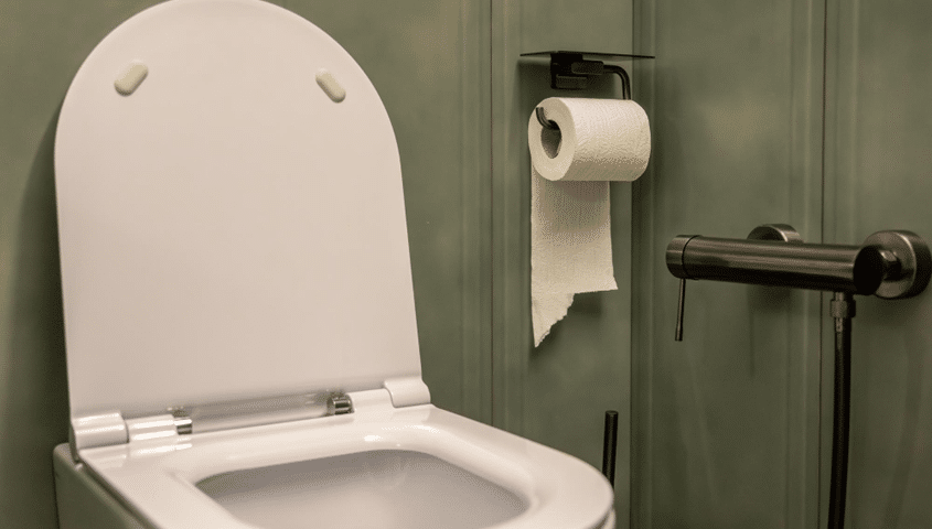nettoyer-lunette-de-toilettes